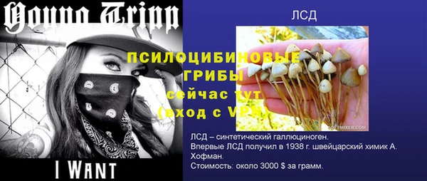 скорость Аркадак