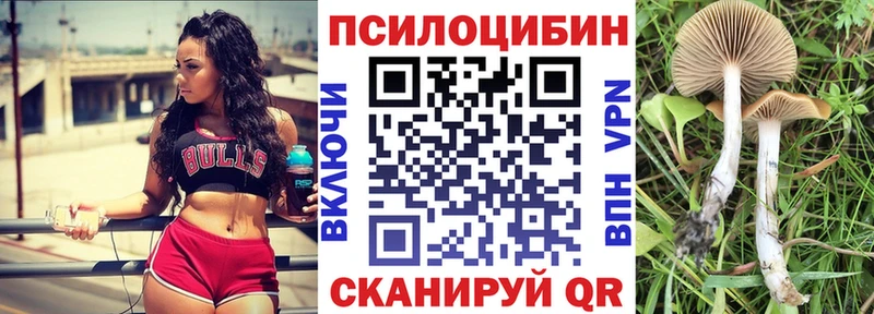 Галлюциногенные грибы ЛСД Навашино